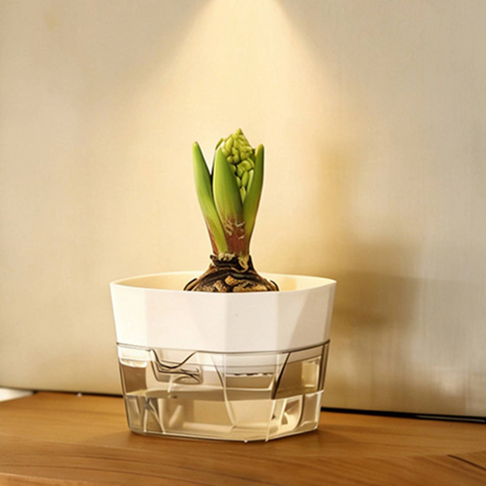 Hydroponic Bulb Vase 2-Tier De - Automatic Watering recension och pris