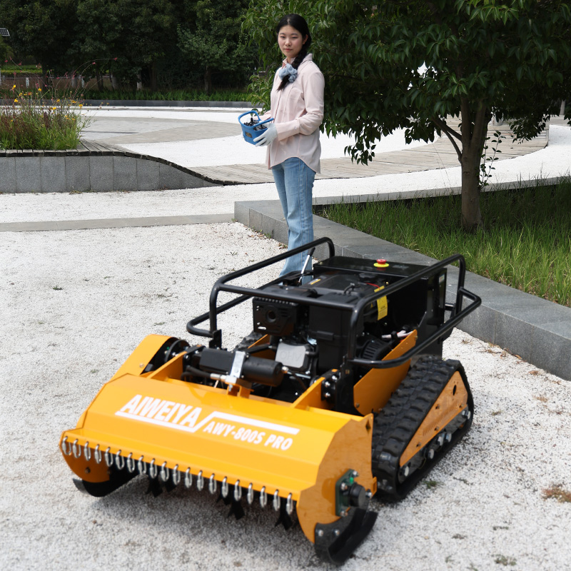Customized cordless rc remote  - Smart Garden System recension och pris