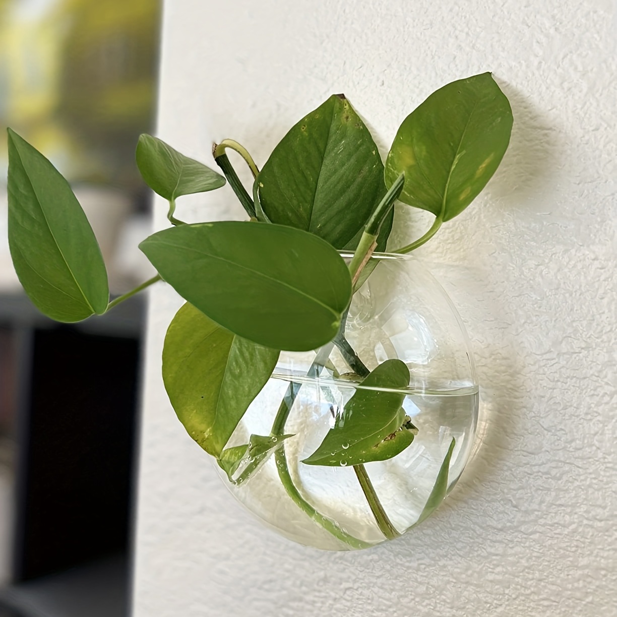 2 pieces / 4 pieces / 6 pieces - Hydroponic Grow Pod recension och pris