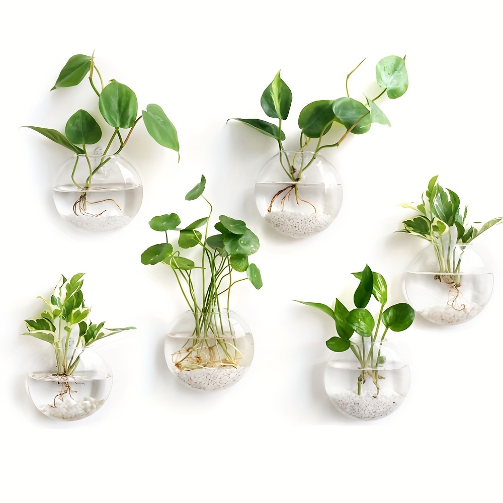 2 pieces / 4 pieces / 6 pieces - Hydroponic Grow Pod recension och pris