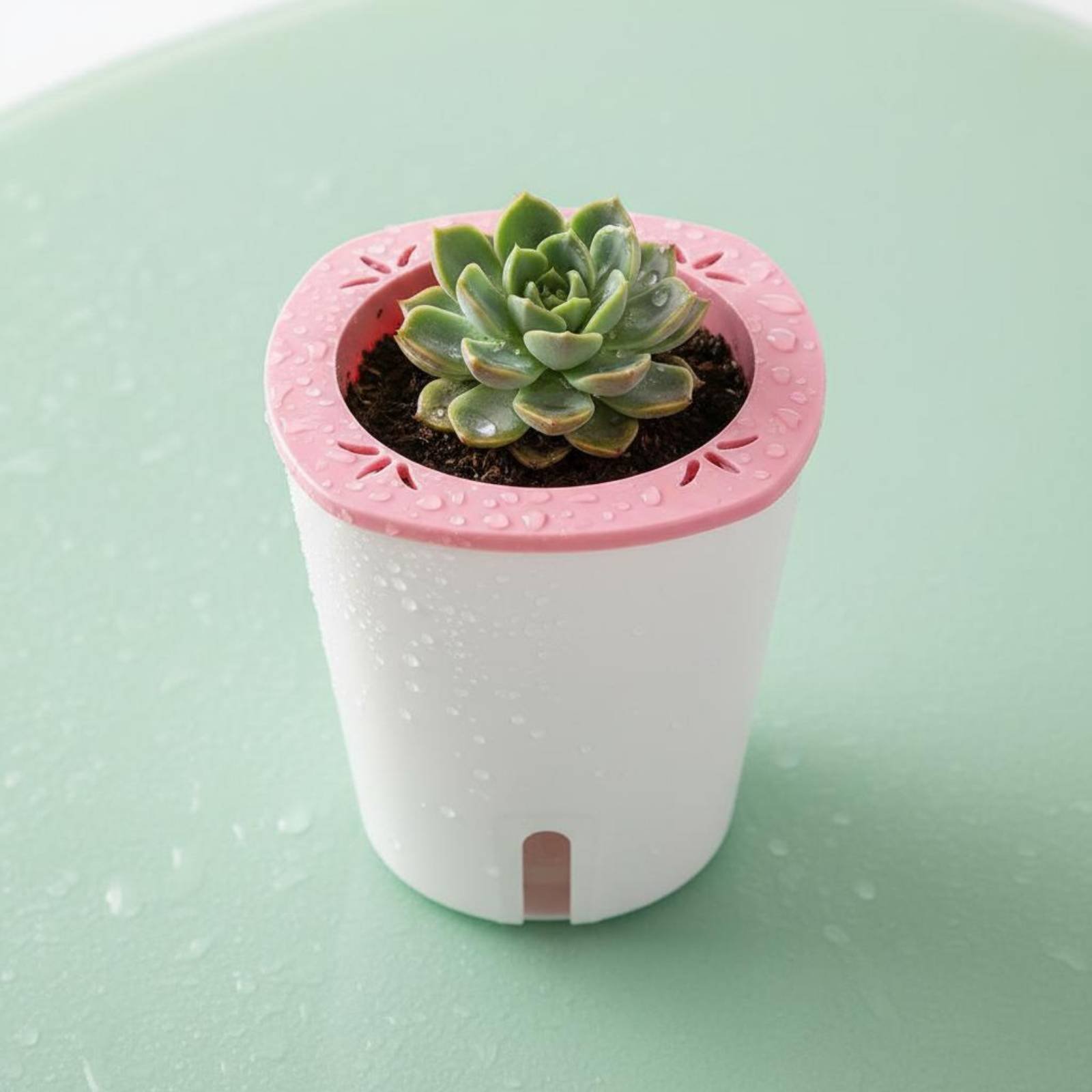 Self Watering Planter Large Si - Self Watering Planter recension och pris