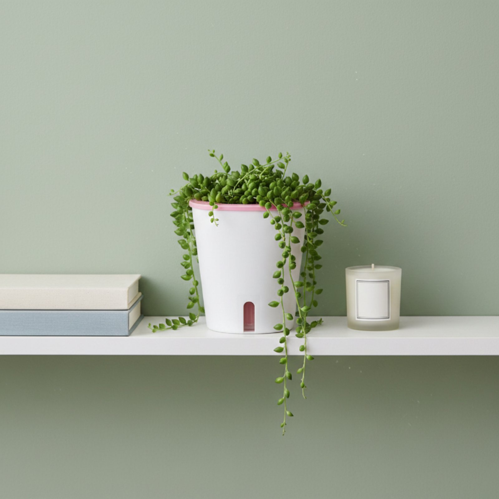 Self Watering Planter Large Si - Self Watering Planter recension och pris
